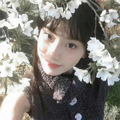 摩斯探长第十季